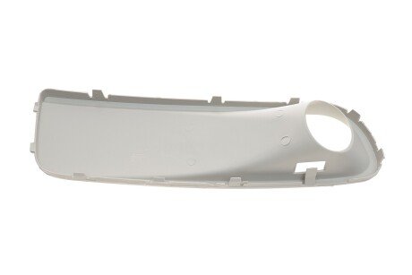 Кришка рамки протитуманної фари; ліва; з отвором dpa 88070575902