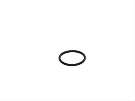Уплотнительное кольцо DT 6.33082