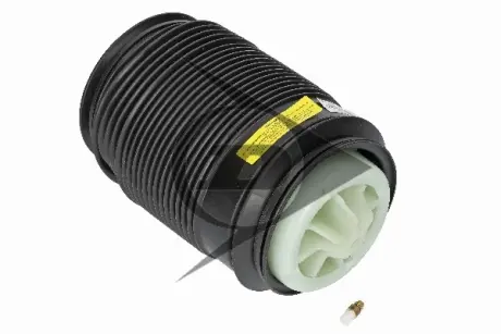 Пневмоподушка задня, права (MB E-CLASS (W212) 09-16) DUNLOP 71197
