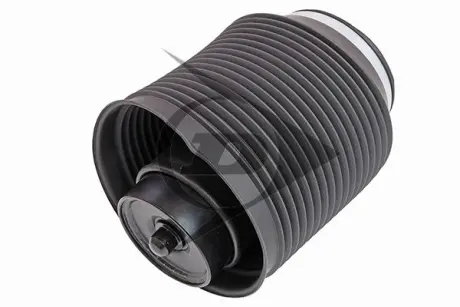 Пневмоподушка задня, права (Toyota LandCruiserPrado 3.0D-4D 02-) DUNLOP 71160