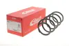 Пружина передняя EIBACH R10487