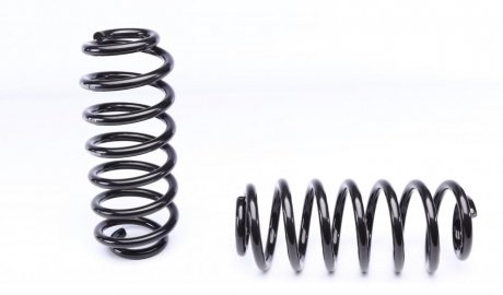 Пружина с занижением eibach E10850220122