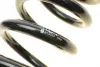 Пружина передняя EIBACH R10023