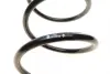 Пружина передняя EIBACH R10038