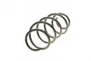 Пружина передняя EIBACH R10078