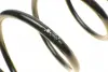 Пружина передняя EIBACH R10078