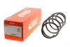 Пружина передняя EIBACH R10079