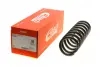 Пружина передняя EIBACH R10287