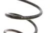 Пружина передняя EIBACH R10490
