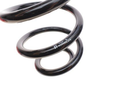 Пружина підвіски eibach R20883