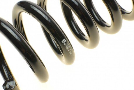 Пружина задняя eibach R10014