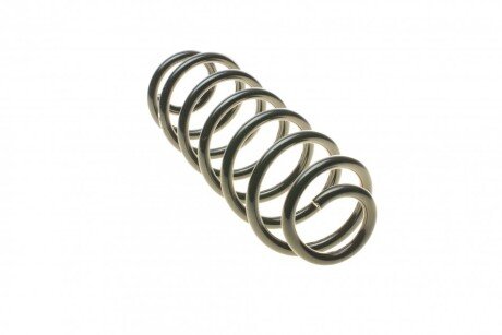 Задня пружина eibach R10016