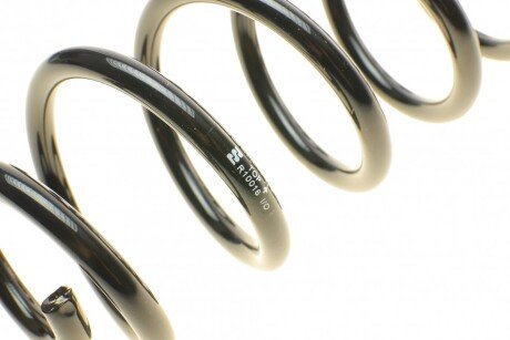 Задня пружина eibach R10016