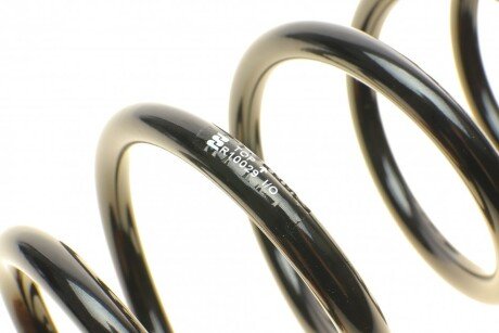 Пружина задняя eibach R10029