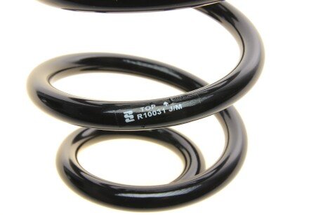 Задня пружина eibach R10031