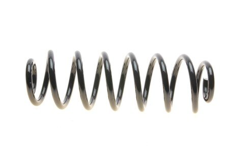 Задня пружина eibach R10031