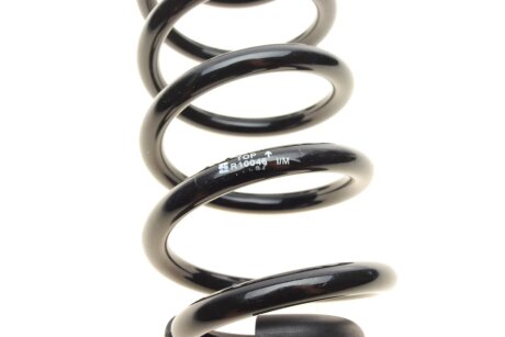 Пружина задняя eibach R10046