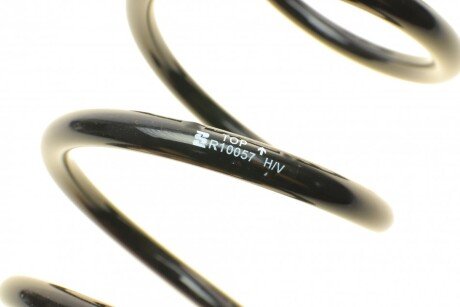 Пружина задняя eibach R10057