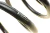 Пружина задняя EIBACH R10082