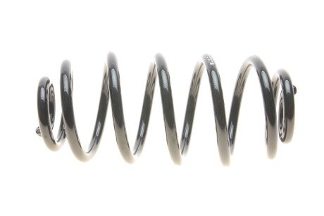 Задня пружина eibach R10089