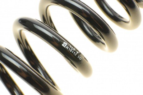 Пружина задняя eibach R10112