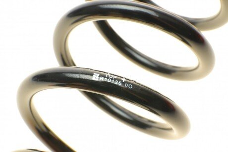 Пружина задняя eibach R10125