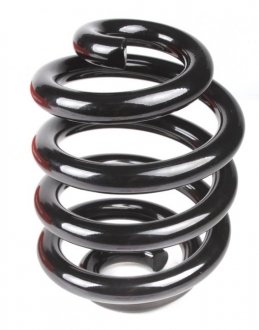 Пружина задняя eibach R10208