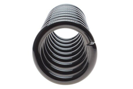 Пружина задняя eibach R10218