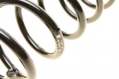 Пружина задняя eibach R10237