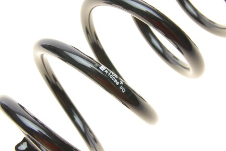 Пружина задняя eibach R10296