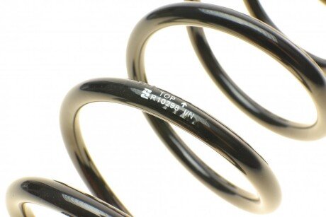 Задня пружина eibach R10298