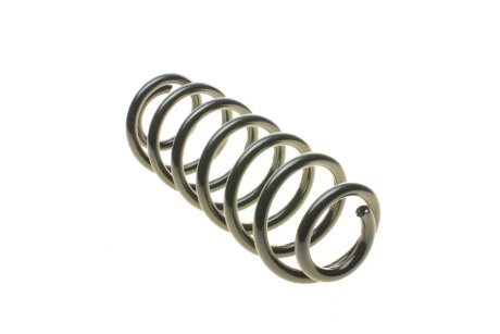 Задня пружина eibach R10319