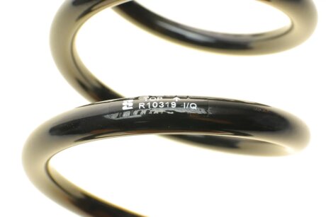 Задня пружина eibach R10319