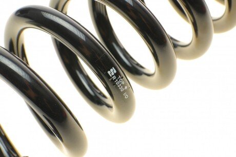 Пружина задняя eibach R10330