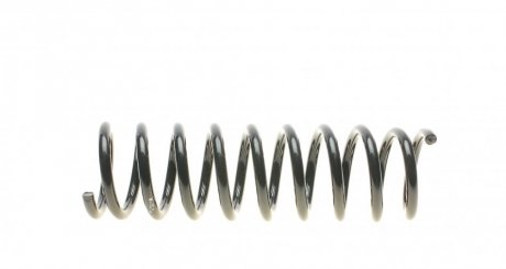 Задня пружина eibach R10361