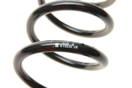 Задня пружина eibach R10530