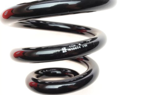 Задня пружина eibach R10604