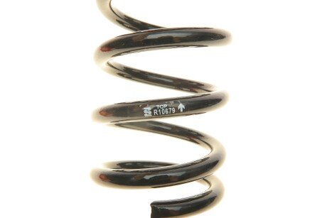 Пружина задняя eibach R10679