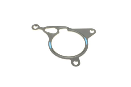 Комплект прокладок двигуна elring 244891