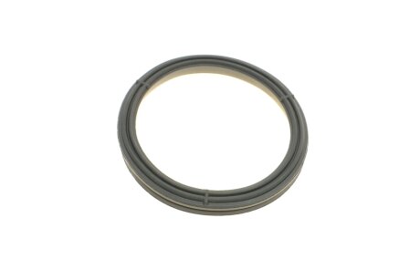 Комплект прокладок двигуна elring 244891