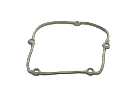 Комплект прокладок двигуна elring 244891