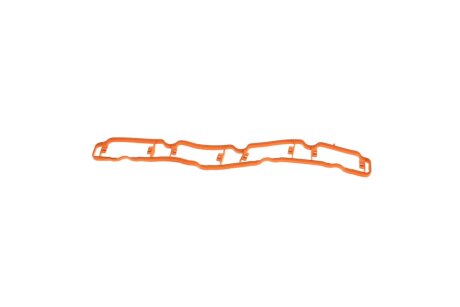 Комплект прокладок двигуна elring 244891