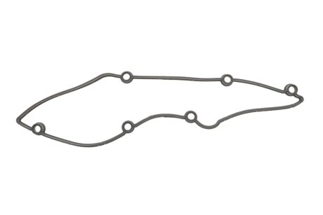 Прокладка клапанної кришки elring 453820
