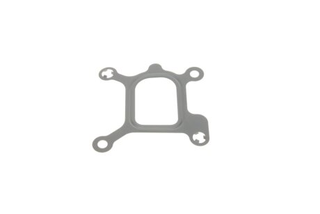 Прокладка, фланець охолоджуючої рідини elring 481720