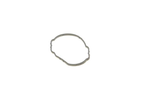 Комплект прокладок двигуна elring 492160