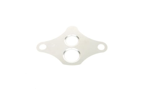 Прокладка клапану ОГ elring 646020