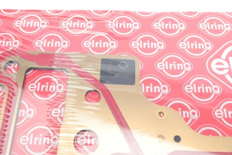 Прокладка головки блоку циліндрів elring 793491