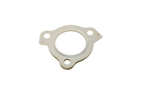 Прокладки двигуна elring 795620