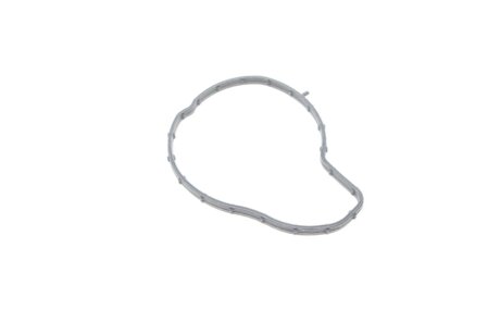 Прокладка помпи води elring 927030 на Фиат Скудо 3