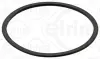 ELRING FORD Прокладка АКП TRANSIT V363 Автобус (FAD, FBD) 2.0 EcoBlue RWD 19-, FORD USA elring B16170
